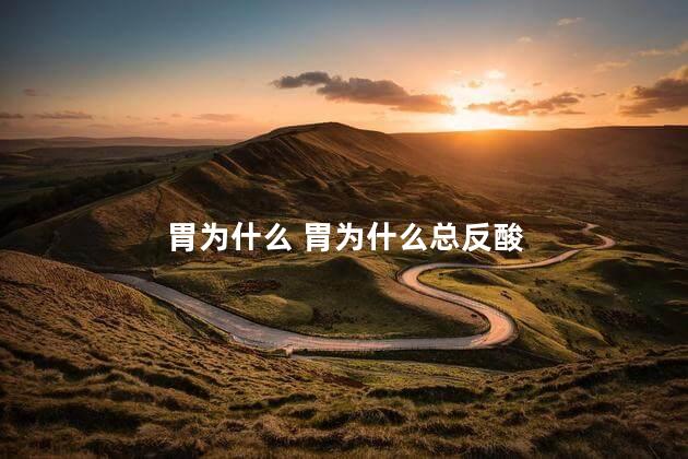胃为什么 胃为什么总反酸